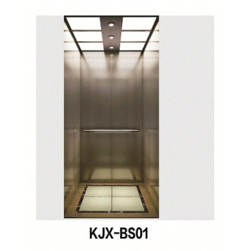 Villa Elevator with Hairline Stainless Steel (KJX-BS01)